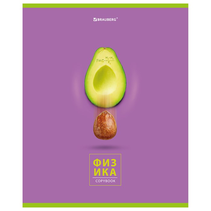 Тетрадь предметная "AVOCADO" 48 л., глянцевый лак, ФИЗИКА, клетка, BRAUBERG, 404283 404283 - фото 182252