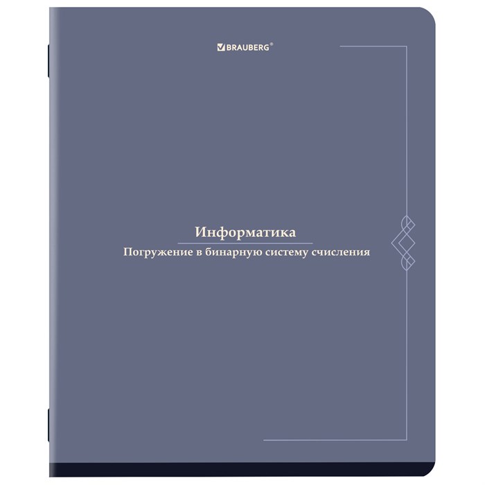 Тетрадь предметная VINTAGE 48 л., SoftTouch, ИНФОРМАТИКА, клетка, подсказ, BRAUBERG, 405154 405154 - фото 183222