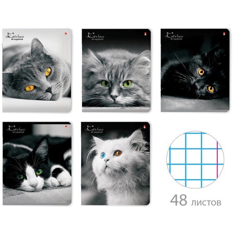 Тетрадь А5 48 л. АЛЬТ скоба, клетка, глянцевый лак, "Кошки. Яркий взгляд" (5 видов), 7-48-1019 404114 - фото 278363
