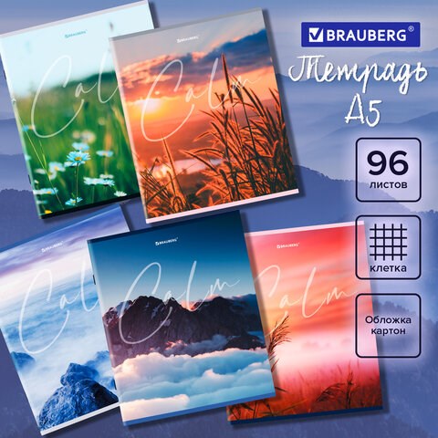 Тетрадь А5 96 л. BRAUBERG скоба, клетка, обложка картон, Calm (микс в спайке), 404435 404435 - фото 278448