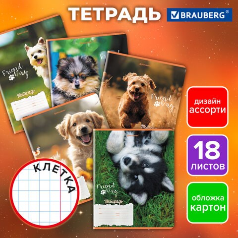 Тетрадь 18 л. BRAUBERG клетка, обложка картон, СОБАЧКИ, 107295 107295 - фото 286524