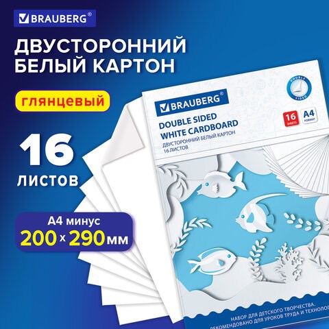 Картон белый А4 МЕЛОВАННЫЙ (белый оборот), 16 листов, в папке, BRAUBERG, 200х290 мм, 113561 113561 - фото 287069