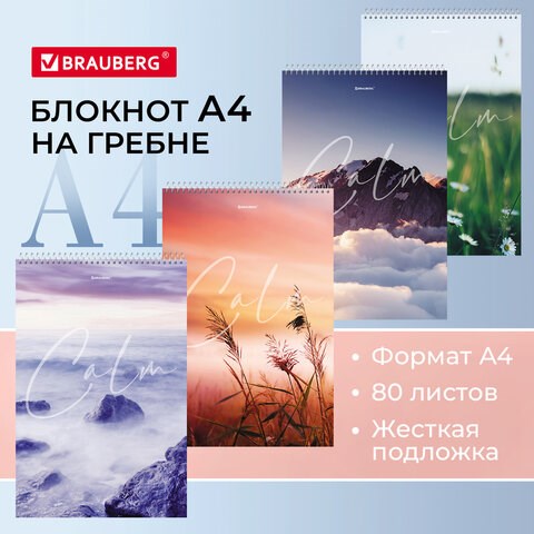 Блокнот БОЛЬШОЙ ФОРМАТ А4 198х297 мм, 80 л., гребень, жесткая подложка, клетка, BRAUBERG, "Calm", 114357 114357 - фото 287143
