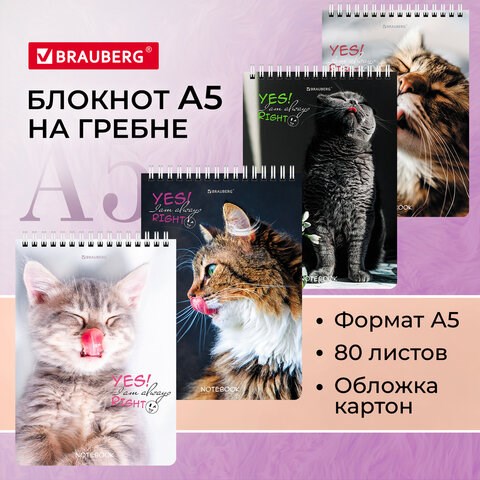Блокнот А5 (146х206 мм), 80 л., гребень, картон, клетка, BRAUBERG, "Довольные коты", 114374 114374 - фото 287160