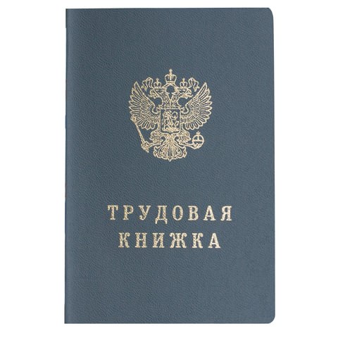 Бланк документа Трудовая книжка, 88х125 мм, ГОЗНАК 121229 - фото 287609