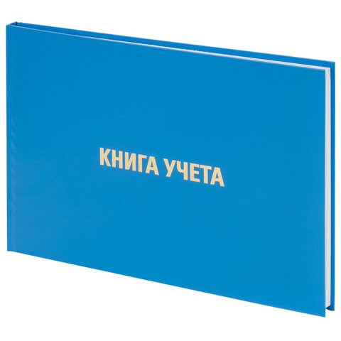 Книга учета 96 л., клетка, твердая, бумвинил, блок офсет, альбомный, А4 (203х290 мм), BRAUBERG, 130074 130074 - фото 288110