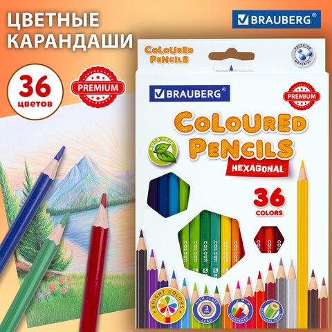 Карандаши цветные BRAUBERG PREMIUM, 36 цветов, шестигранные, грифель 3 мм, 181669 181669 - фото 294661