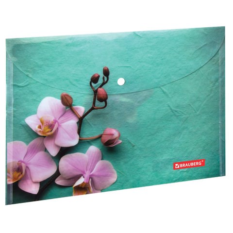Папка-конверт с кнопкой BRAUBERG FLOWER, А4, 160 мкм, до 100 листов, цветная печать, 228031 228031 - фото 296538