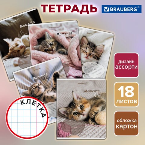 Тетрадь 18 л. BRAUBERG клетка, обложка картон, КОТЯТА, 107292 107292 - фото 323120
