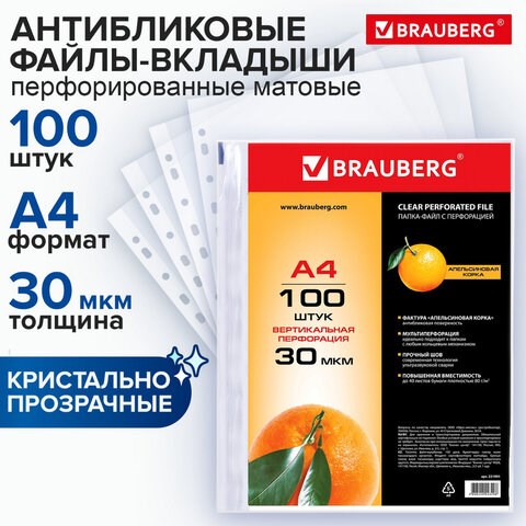 Папки-файлы перфорированные, А4, BRAUBERG STANDARD, комплект 100 шт., матовые, 30 мкм, 221991 221991 - фото 327799