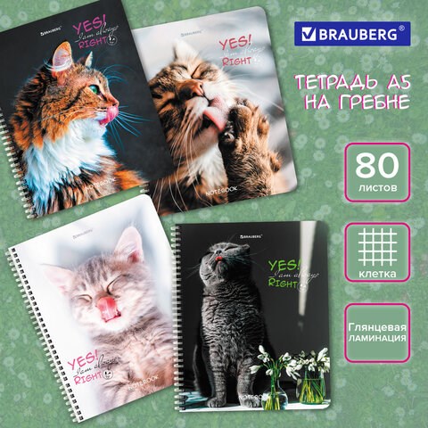 Тетрадь А5 80 л. BRAUBERG, гребень, клетка, глянцевая ламинация, "Довольные Коты" (микс в спайке), 404417 404417 - фото 334150