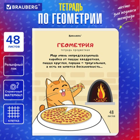 Тетрадь предметная "КОТ-ЭНТУЗИАСТ" 48 л., TWIN-лак, ГЕОМЕТРИЯ, клетка, подсказ, BRAUBERG, 404561 404561 - фото 334209