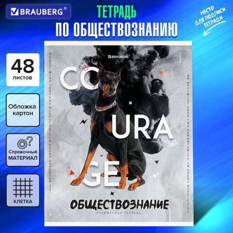 Тетрадь предметная "SPORT CLUB" 48 л., обложка картон, ОБЩЕСТВОЗНАНИЕ, клетка, подсказ, BRAUBERG, 404795 404795 - фото 334266