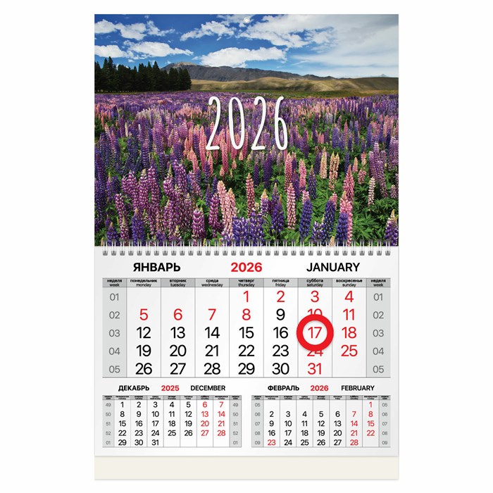 Календарь квартальный 2026 г., 1 блок, 1 гребень, магнитный курсор, мелованная бумага, BRAUBERG, "Люпины", 116915 116915 - фото 341688