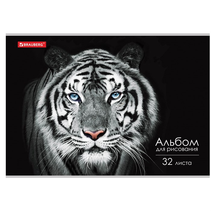 Альбом для рисования А4, 32 л., скоба, обложка картон, BRAUBERG, 202х285 мм, "Тигр" (1 вид), 105610 105610