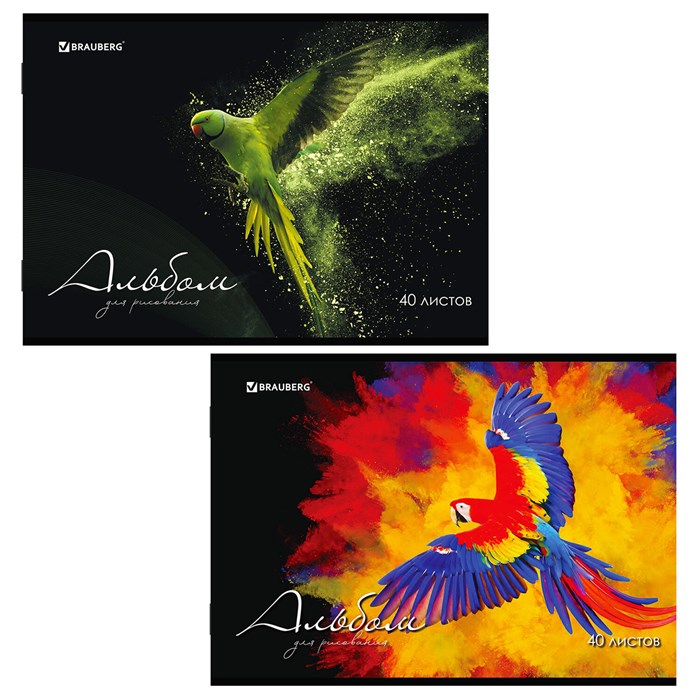 Альбом для рисования А4, 40 л., скоба, обложка картон, BRAUBERG, 205х290 мм, "Полёт" (2 вида), 106707 106707