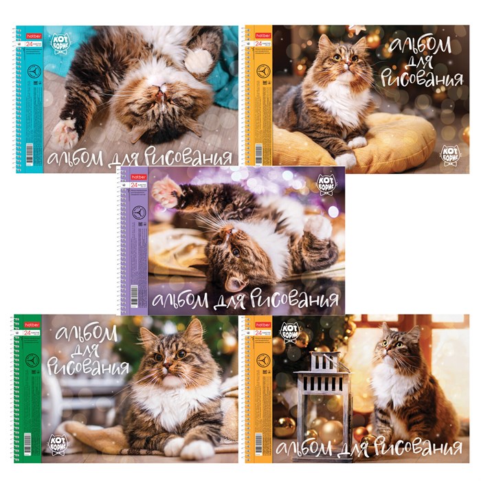 Альбом для рисования А4 24 л., спираль, обложка картон, HATBER, 198х300 мм, "Кот Борис" (5 видов), 079771, 24А4Всп 107393