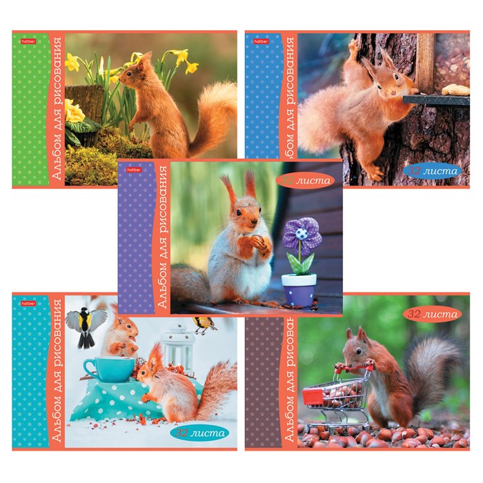 Альбом для рисования А4, 32 л., скоба, обложка картон, HATBER, 205х290 мм, "Белочка пришла" (5 видов), 091519, 32А4В 107475