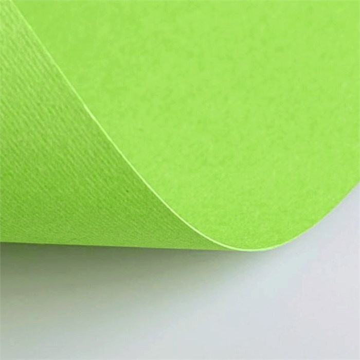 Бумага (картон) для творчества (1 лист) Fabriano Elle Erre А2+ 500х700 мм, 220 г/м2, светло-зеленый, 42450710 115549