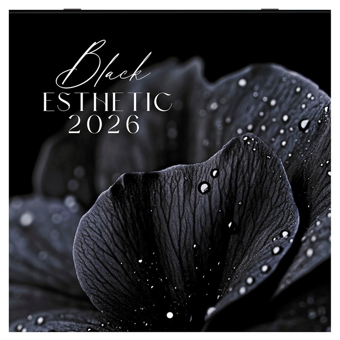 Календарь настенный перекидной 2026 г., BRAUBERG, 12 листов, 28,5х28,5 см, "Black esthetic", 116927 116927