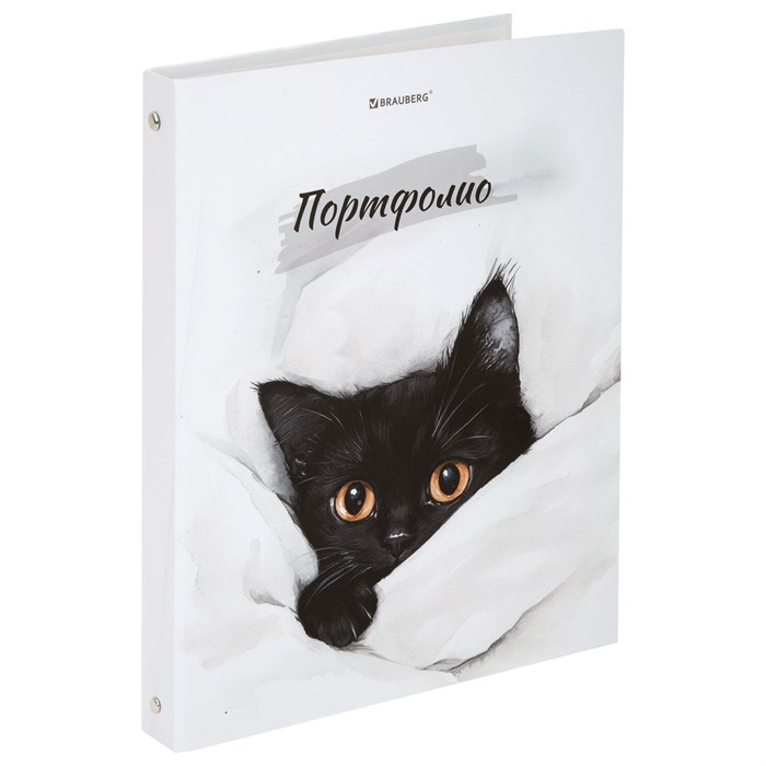 Папка-портфолио универсальная, 4 кольца, 20 файлов, 7БЦ матовая, BRAUBERG "Cat", 107557, 117557 117557