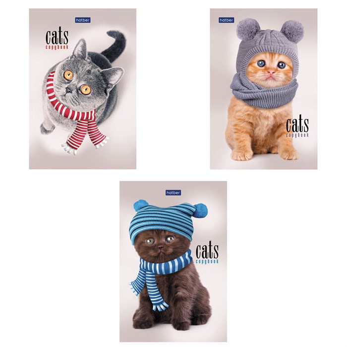 Блокнот МАЛЫЙ ФОРМАТ А6, 40 л., склейка, мелованная бумага, клетка, глянцевая ламинация, HATBER, "Кототерапия", 057230, 40Б6лA1к 117644