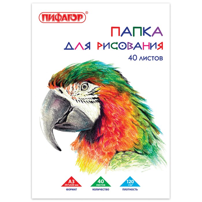 Папка для рисования БОЛЬШОГО ФОРМАТА А3, 40 л., 120 г/м2, ПИФАГОР, 297х420 мм, "Попугай", 129219 129219