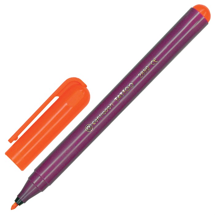 Фломастеры для кожи 4 ЦВЕТА CENTROPEN "Tattoo", + 16 трафаретов, смываемые, 2880/4BL, 628800405 151186