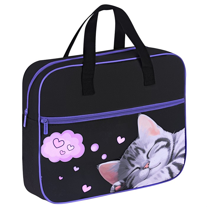 Папка на молнии с ручками BRAUBERG А4, 1 отделение, карман на молнии, 80 мм, "Sleeping kitten", 273309 273309