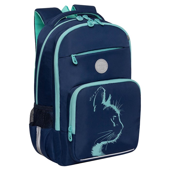 Рюкзак GRIZZLY школьный, анатомическая спинка, 2 отделения, для девочек, "AZURE", 40х25х13 см, RG-564-4/1 274197