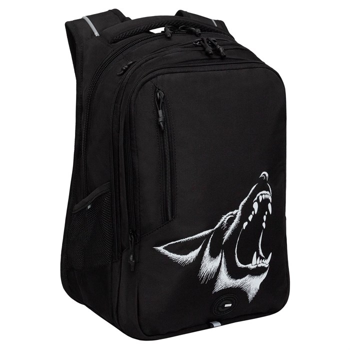 Рюкзак GRIZZLY школьный, анатомическая спинка, 3 отделения, для мальчиков, "ANGER", 42х31х22 см, RU-538-4/1 274218