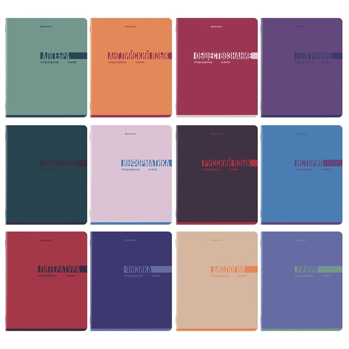 Тетради предметные, КОМПЛЕКТ 12 ПРЕДМЕТОВ, 48 л., обложка картон, BRAUBERG "VIBE", 405163 405163