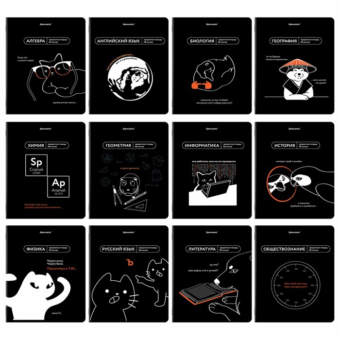 Тетради предметные, КОМПЛЕКТ 12 ПРЕДМЕТОВ, 48 л., TWIN лак, BRAUBERG "МЕМЫ", 405172 405172