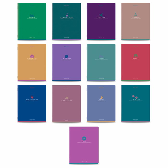 Тетради предметные, КОМПЛЕКТ 13 ПРЕДМЕТОВ, 48 л., матовая ламинация, BRAUBERG "MONOCOLOR", 405175 405175