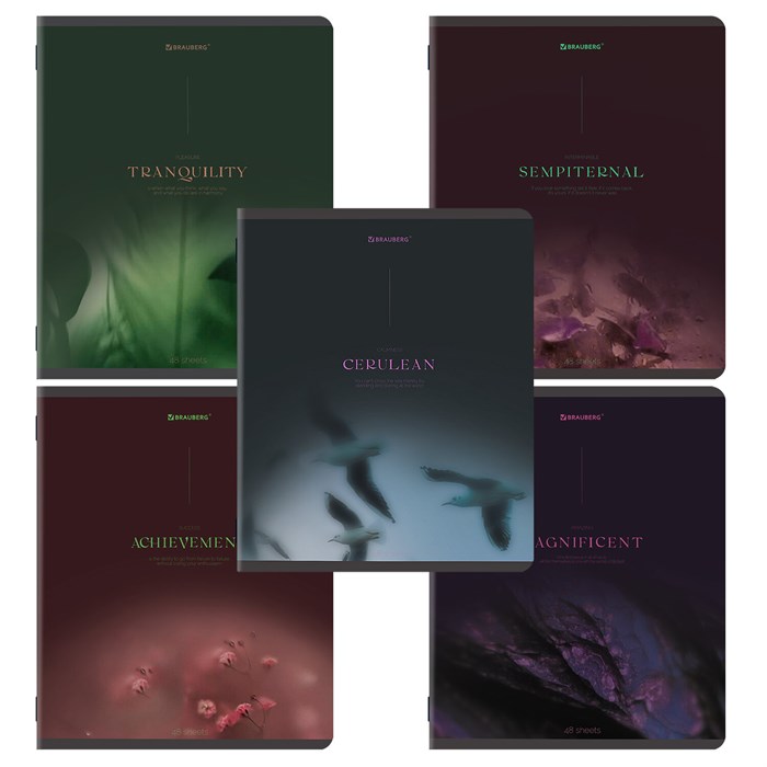 Тетрадь А5, 48 л., BRAUBERG, скоба, клетка, SoftTouch, "Peaceful", (микс в спайке), 405327 405327