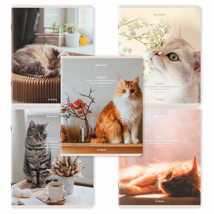 Тетрадь А5, 48 л., BRAUBERG, скоба, клетка, матовая ламинация, "Cats", (микс в спайке), 405334 405334
