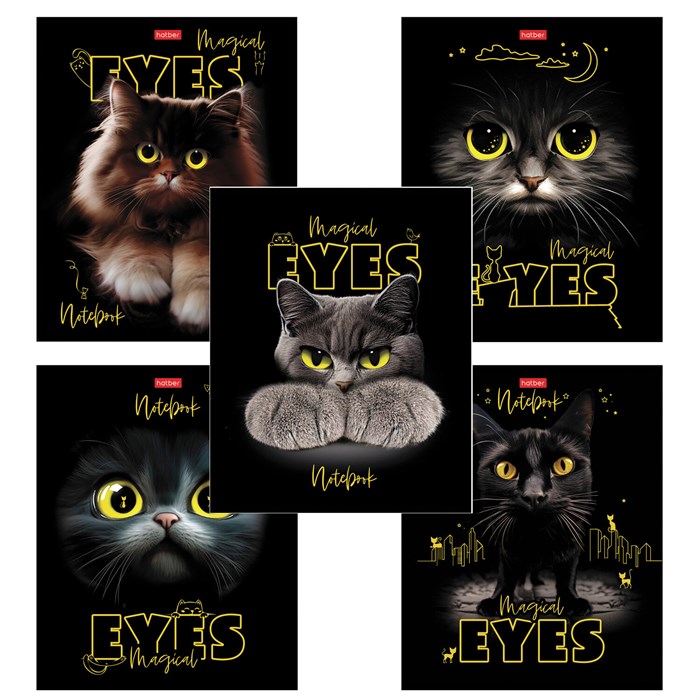 Тетрадь А5 48 л., HATBER скоба, клетка, матовая ламинация, 3D-лак, "Волшебные глаза" (микс), 088313, 48Т5лолВ1 405448