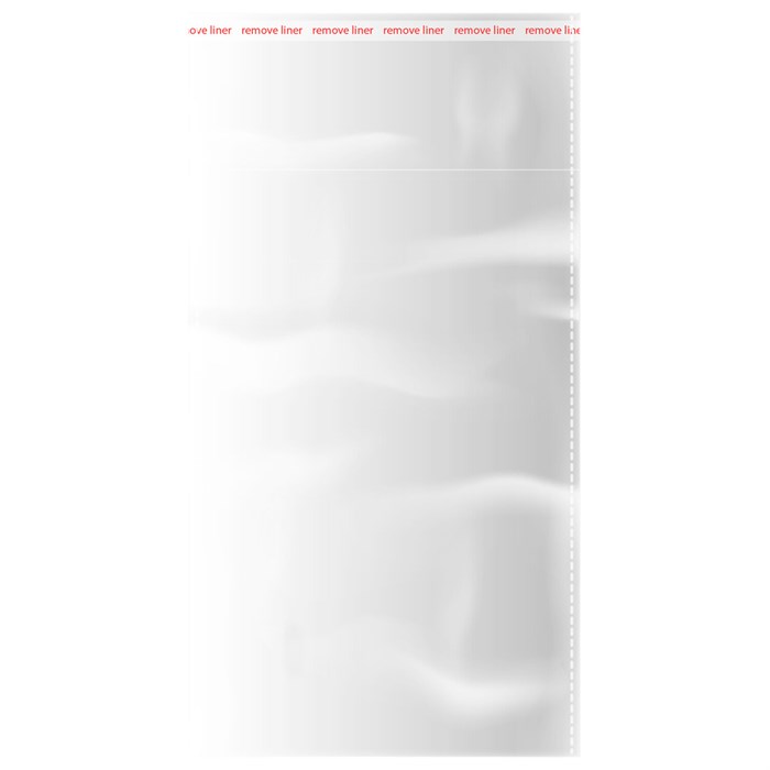 Пакеты БОПП с клеевым клапаном КОМПЛЕКТ 100 штук, 10 х 15 + 4 см, 25 мкм с усиленным швом, BRAUBERG, 700405 700405