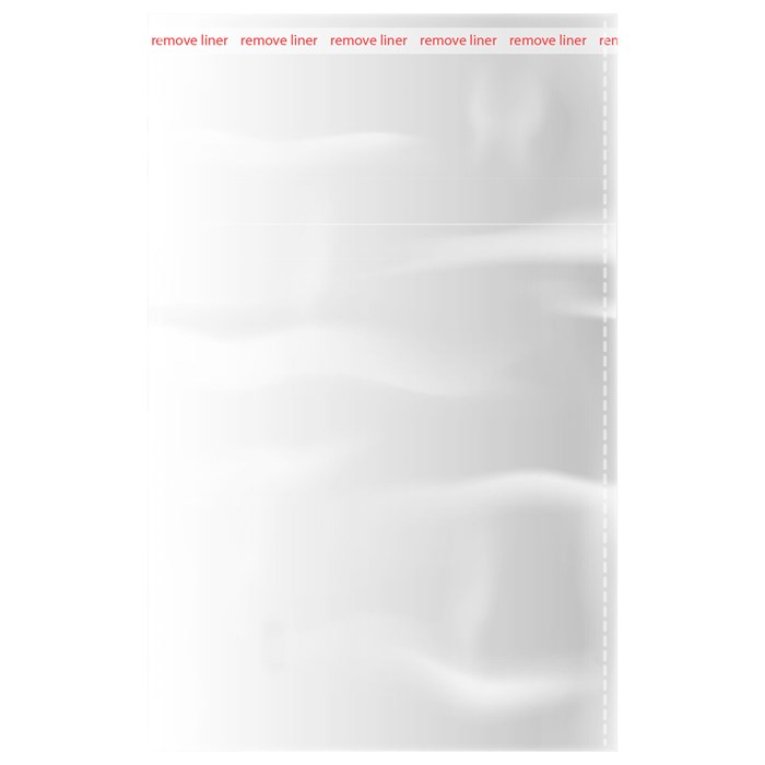 Пакеты БОПП с клеевым клапаном КОМПЛЕКТ 100 штук, 15 х 20 + 4 см, 25 мкм с усиленным швом, BRAUBERG, 700406 700406