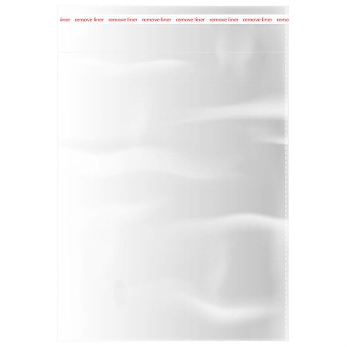 Пакеты БОПП с клеевым клапаном КОМПЛЕКТ 100 штук, 20 х 25 + 4 см, 30 мкм с усиленным швом, BRAUBERG, 700407 700407