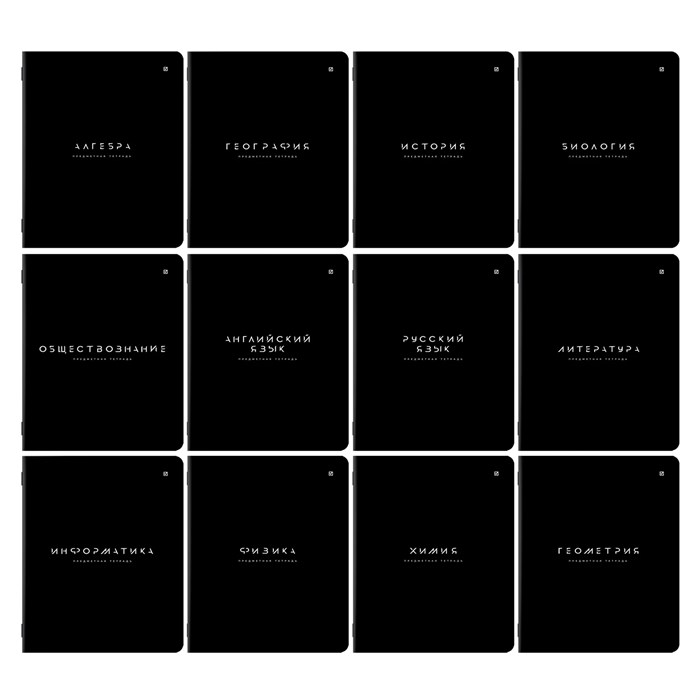 Тетради предметные, КОМПЛЕКТ 12 ПРЕДМЕТОВ 48 л., пластиковая обложка, BRAUBERG "BLACK MODE", 405541 405541