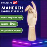 Манекен художественный BRAUBERG ART CLASSIC "РУКА", высота 30 см., мужская правая, дерево, 191297 191297