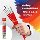 Кисти ПИФАГОР, набор 5 шт. (БЕЛКА: круглая № 3; КОЗА: круглые № 6, 8; ПОНИ: круглые № 2, 5), пакет с европодвесом, 200231 200231