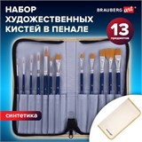 Кисти художественные набор 12 шт. в пенале, синтетика, BRAUBERG ART DEBUT, 201042 201042