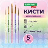Кисти СИНТЕТИКА набор 5 шт. (круглые № 1, 2, 3, 4, 5), блистер, BRAUBERG KIDS, 201076 201076