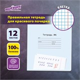 Тетрадь УЧУСЬ ПИСАТЬ № 6 12 л. клетка, со справочным материалом, обложка картон, ЮНЛАНДИЯ, 404849 404849
