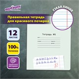 Тетрадь УЧУСЬ ПИСАТЬ № 5 12 л. узкая линия, со справочным материалом, обложка картон, ЮНЛАНДИЯ, 404850 404850