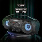 Колонка портативная с подсветкой SONNEN B306, 12 Вт, Bluetooth, FM-тюнер, microSD, MP3-плеер, черная, 513479 513479