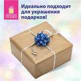 Набор для декора и подарков 4 банта, 2 ленты, голография, цвета синий, серебристый, ЗОЛОТАЯ СКАЗКА, 591848 591848