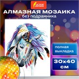Картина стразами (алмазная мозаика) 30х40 см, ОСТРОВ СОКРОВИЩ "Индейская лошадь", без подрамника, 662403 662403